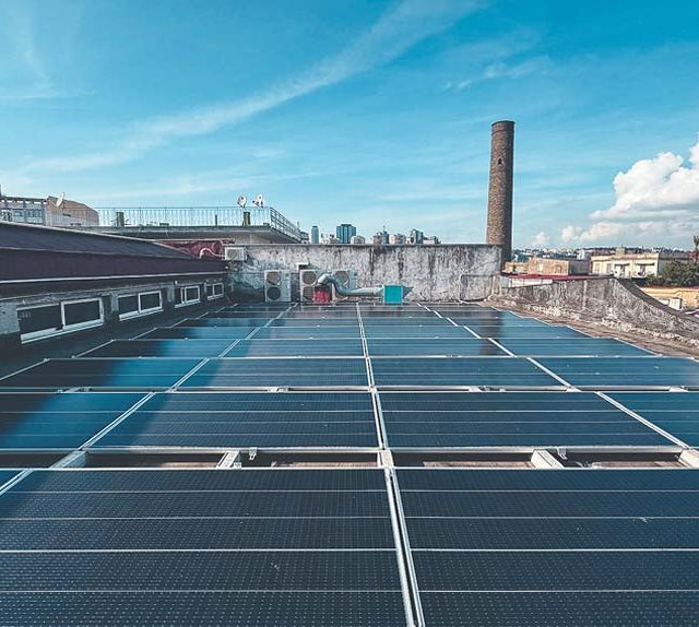 project-campania-02-cover