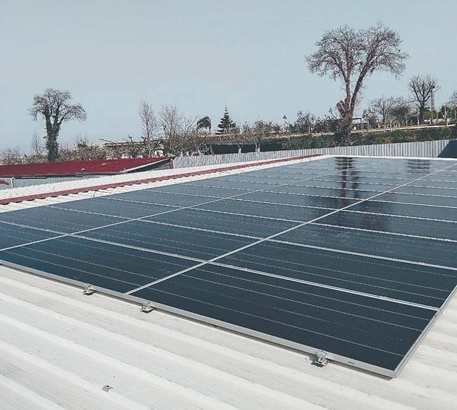 project-campania-04-cover